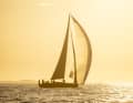 In manchen Momenten segelten die Boote beim Schwedenklassiker rund Gotland ganz in Gold gehüllt.