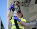 Most airlines and destinations report sufficient paraffin stocks.