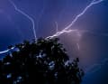 A flash of lightning lights up the sky above the treetops. The severe thunderstorms at the weekend brought strong winds and, in some places, heavy downpours.