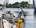 Mit einem Mähboot wird die invasive Wasserpest gemäht.