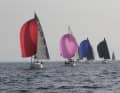 Il percorso lungo della Fyn Cup porta gli equipaggi intorno all'intera isola danese di Fionia, su una distanza di 138 miglia nautiche esatte.
