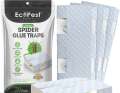 Sticky traps for indoor use for spiders, beetles and crawling insects