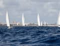 In the background: the cityscape of Las Palmas de Gran Canaria | WCC