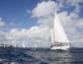 Start in dream conditions | WCC