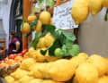 La région est appelée la Côte des Citrons, et la liqueur de limoncello est la boisson qui y est associée.