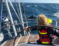 Orca aft of the "Bianca"