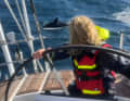 Bei Begegnung mit einem Orca: Motor an und weiterfahren.