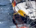 Festgeklammert am Rettungsnetz