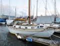 Bâche de cockpit « haute » : si le bateau reste à l'eau pendant l'hiver et doit pouvoir être déplacé en cas d'urgence, il est possible d'installer au-dessus du cockpit une sorte de « taud de soleil » en version hivernale résistante. Le teck et les instruments sont ainsi protégés.