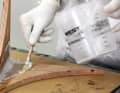 Soaking: Soak the glass scrim well with resin until it becomes clear and transparent all over. The correct amount of resin has been reached when the surface has a matt sheen and the fibre strands are still visible