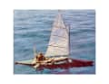 He had already travelled the route in a dugout canoe and carried out his own medical tests