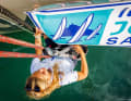 Regata d'altura Joy Sail di Ibiza, impressioni