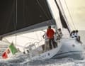 Une surface de voile abondante. Le plan de voilure performant assure un potentiel de puissance élevé