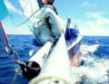 Modified small cruiser on an extreme voyage