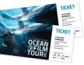 Per la sesta volta, l'International Ocean Film Tour 2019 presenta cortometraggi avventurosi dal mondo degli sport acquatici. I contributi di velisti, subacquei, windsurfisti, surfisti da onda e ambientalisti marini compongono il programma serale di tre ore, che ancora una volta sarà proiettato nelle principali città della Germania. La prima è il 17 marzo 2019 ad Amburgo. I biglietti per oltre 50 spettacoli sono disponibili in prevendita e il costo di un biglietto è di 13 euro. de.oceanfilmtour.com