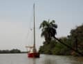 L'"Aracanga" sur la Gambie - Impressions