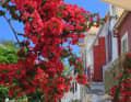 Bunte Häuser, leuchtende Bougainvillea-Sträucher sind typisch, die weißen Würfel-Häuschen der Ägäis findet man im Ionischen Meer nur selten 