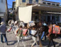 The island is car-free, the donkey is the number one means of transport here - part of the special charm of Hydra