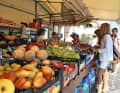 Local farmers' stalls can be found almost everywhere in the harbours on Elba