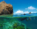 Snorkelling is part of the daily programme, as here at the reef of The Indians