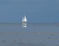 Impressioni dal Waddenzee