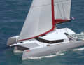 Neel 43