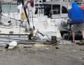 Bilder der Agentur yachting.com, deren Charterkunden Ihre Yacht leider durch die Sturmschäden auf Zakynthos verloren
