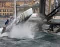The Gulf of Naples did not let itself go
