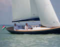 Scholtz 8.8