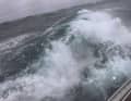 Impressions of the Edinburgh Regatta on board the "Charisma"