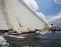 "Cintra", der nächste Zwölfer am Start, war lange auf dem Mittelmeer zu Hause und wurde erst vor kurzem an die Kieler Förde geholt.