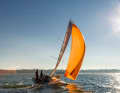 Auf und davon. Die Django 6.70 zeigt sich als echter Offshore-Racer im Kleinformat