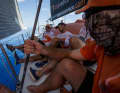 Shadow biscuits with Team Alvimedica