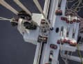 Gousses et extenseurs sur le podium central