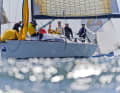 Edelweiss und Nordseeblau