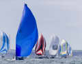 "Shakti" mit Gennaker. Feld mit Spinnaker