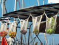 Fruit stocks on the tool carrier of a