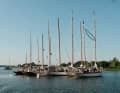 Ein Teil der Flotte traf sich am Vorabend der Regatta vor Anker in der Bucht des Plüschow-Hafens