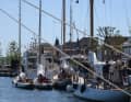 Die Flotte im Stadthafen von Svendborg