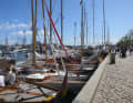 The fleet in Svendborg town harbour