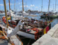 The fleet in Svendborg town harbour