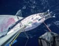 Jessica Watson's round-the-world voyage was also made into a film. In addition to the Netflix production, her book has also been reissued. Here is the view of her "Pink Lady" from the mast