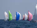 Die Flotte beim Start ins Mini Atlantique 2026.