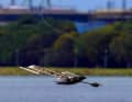 A new development: the probe is dropped from the air, rotates slowly as it descends and, once it has landed on the water, becomes a self-propelled glider.