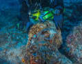 Wreck found off Antikythera