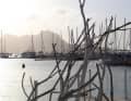 Mindelo, nelle Isole di Capo Verde, porto di partenza per i Caraibi