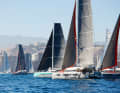 Cats from all renowned large and small shipyards are at the start