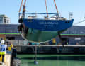 The propeller is mounted on a conventional shaft system, parts of the transom and the aft deck form the bathing platform