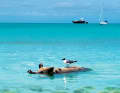 I maiali che nuotano a Staniel Cay, nelle Exumas, sono un'attrazione turistica da diversi anni.