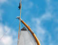 Wing: The most striking detail is the whip mast, which shapes the sail like a wing